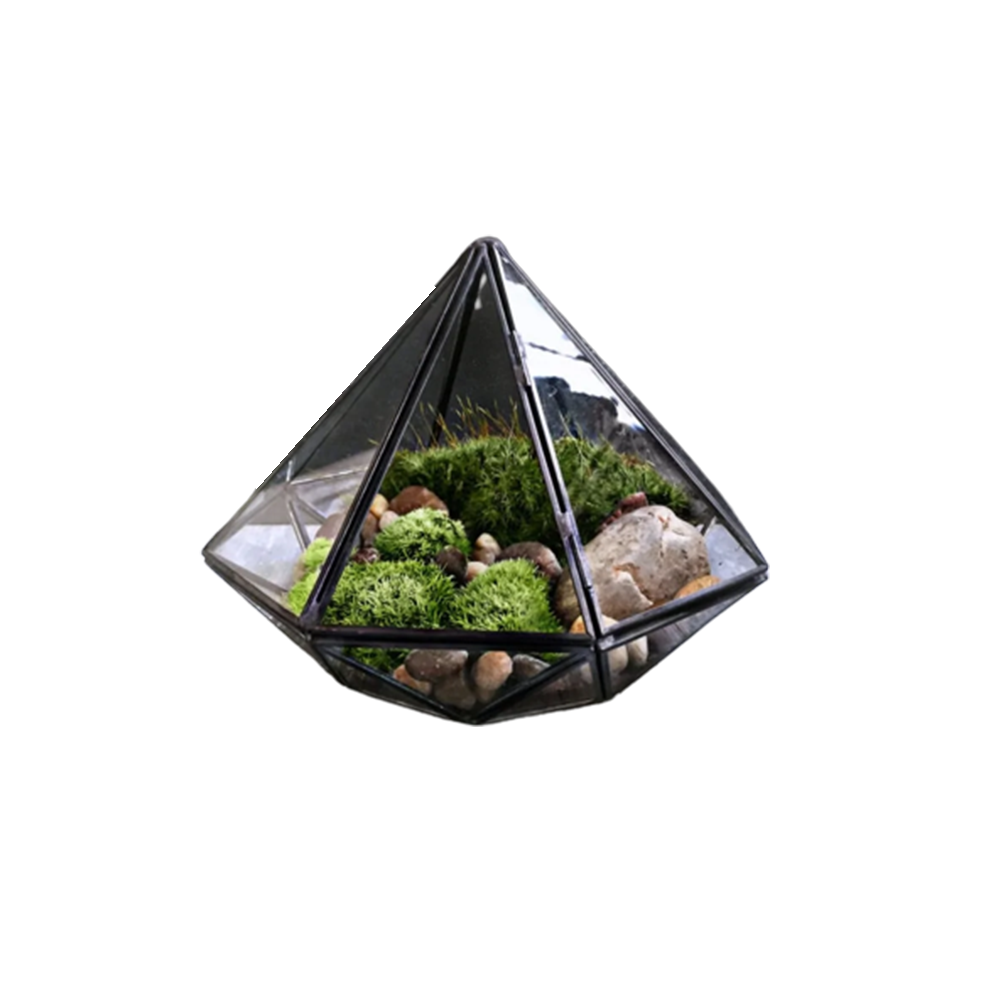 Glass Terrarium